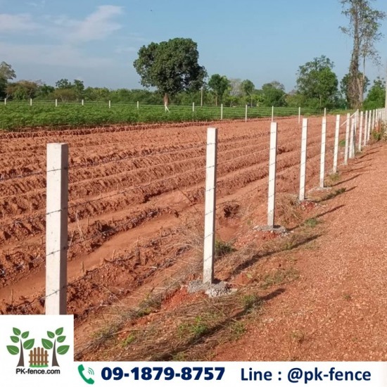 ล้อมรั้วลวดหนาม สุพรรณบุรี ล้อมรั้วลวดหนาม สุพรรณบุรี