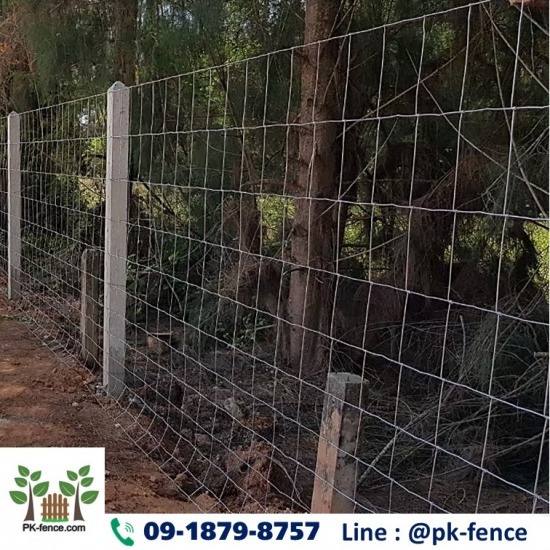 รั้วตาข่าย รั้วตาข่าย