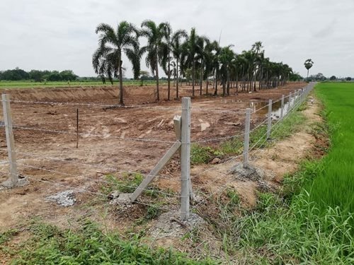 ลวดหนามเสาคอนกรีต ปทุมธานี