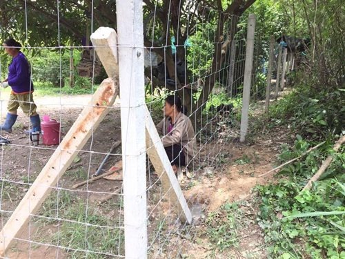 รั้วตาข่ายแรงดึงสูง ปทุมธานี