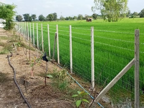 ช่างรับทำรัวลวดหนาม ปทุมธานี