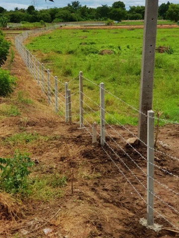 รั้วลวดหนามปทุม