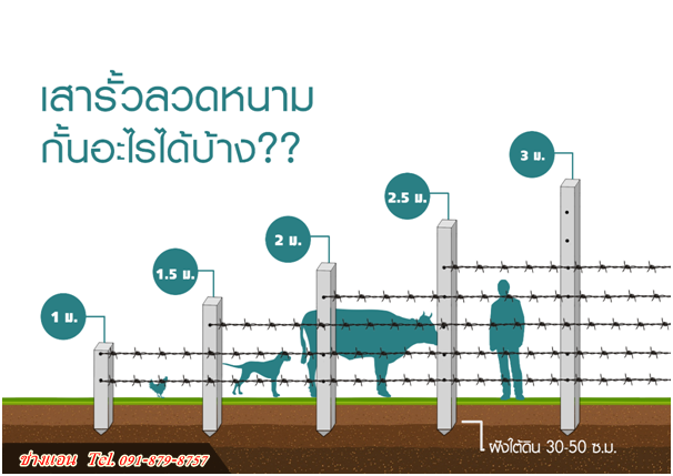 รับทำรั้วลวดหนามตามสเปค ปทุมธานี