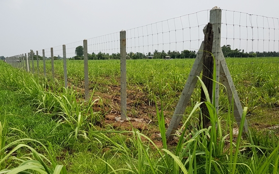 ติดตั้งรั้วตาข่ายแรงดึงสูง